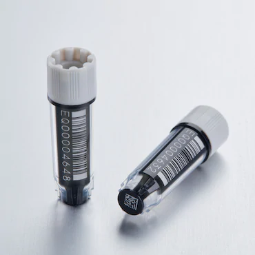 艾本德Eppendorf CryoStorage Vial，無(wú)菌, 無(wú)菌, 0.5 mL, 不含 DNase、RNase、人類 DNA 和內(nèi)毒素；外螺紋，預(yù)先加蓋灰色管蓋，帶 2D SafeCode 
